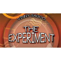 The Experiment by Vinny Sagoo 