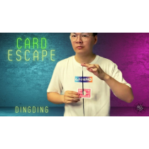 The Vault - Card Escape by Dingding video DOWNLOAD