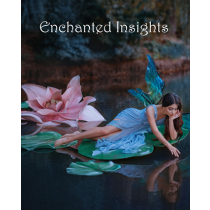 ENCHANTED INSIGHTS BLUE (German Instruction) by Magic Entertainment Solutions