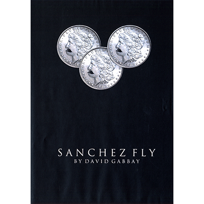Sanchez Fly by David Gabbay - ebook - DOWNLOAD
