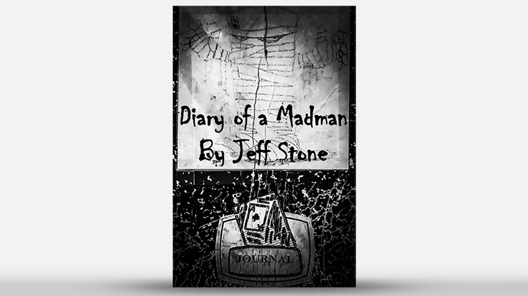 Diary of a Madman by Jeff Stone - Book