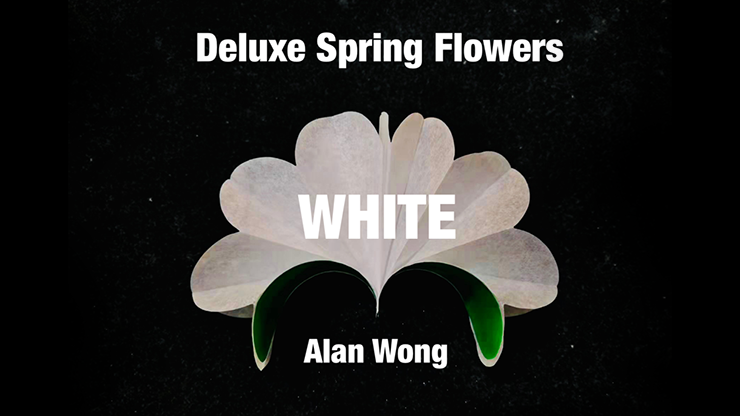 Deluxe Spring Flowers WHITE by Alan Wong