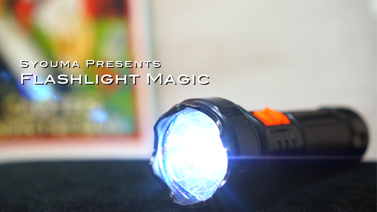 Magic Flashlight (2pk) by Tejinaya Magic