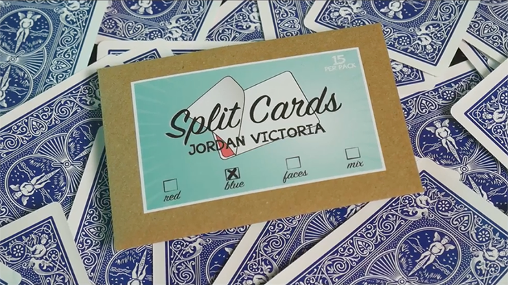  Split Cards 15 ct. (Blue) by PCTC 