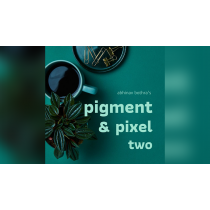 Pigment & Pixel 2.0  by Abhinav Bothra ebook DOWNLOAD