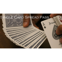 Magic Encarta Presents Single Card Spread Pass by Vivek Singhi video DOWNLOAD