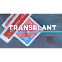 Transplant by Agustin video DOWNLOAD