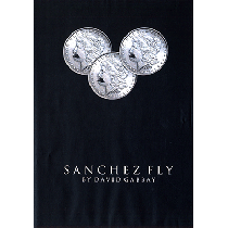 Sanchez Fly by David Gabbay - ebook - DOWNLOAD