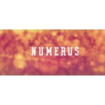 Numerus the trick by Raphael Macho