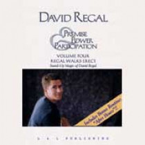 David Regal's Premise, Power & Participation Vol 4 (DVD)