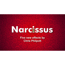 Narcissus by Chris Philpott 