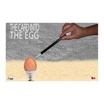 THE CARD INTO THE EGG (Gimmicks and Online Instructions) by Alan Alfredo Marchese