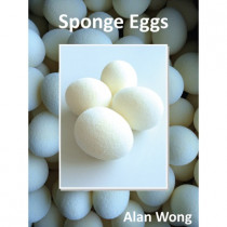 Sponge Eggs von Alan Wong (4 Stück) - Schwammball