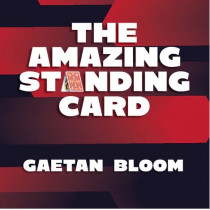 The Amazing Standing Card by Gaetan Bloom