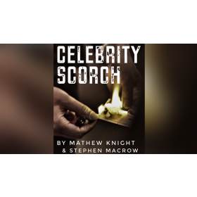 Celebrity Scorch (Downey Jr & Beckham) by Mathew Knight and Stephen Macrow