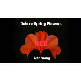 Deluxe Spring Flowers RED by Alan WOng