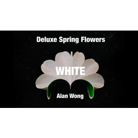 Deluxe Spring Flowers WHITE by Alan Wong
