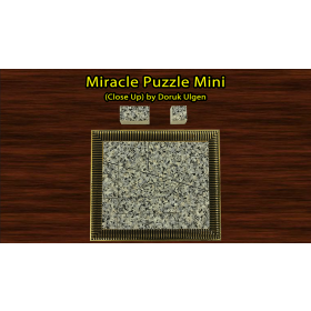 Miracle Puzzle (Close Up) by Doruk Ulgen