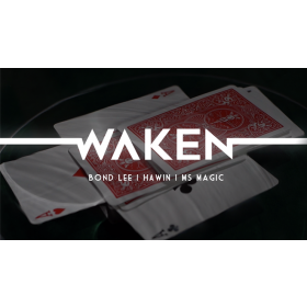 WAKEN by Bond Lee, Hawin & MS Magic / Haunted Card