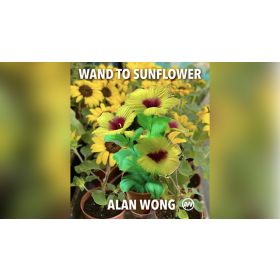 WAND TO SUNFLOWER LARGE by Alan Wong