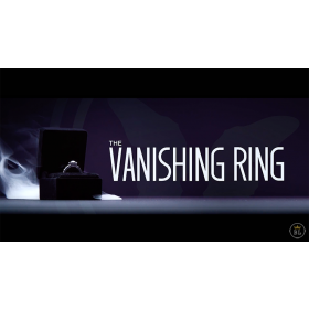 Limited Edition Vanishing Ring Red (Gimmick and Online Instructions) by SansMinds